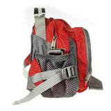 SMALL HIKING MOONBAG - All Bags Online